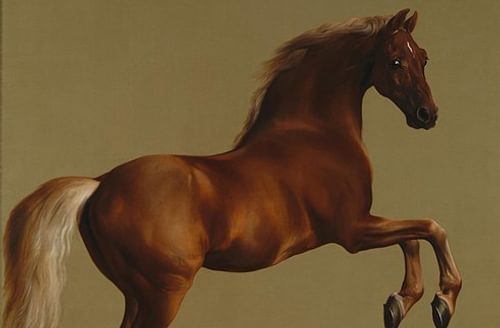 Lecture by Dr Ann Ferguson on George Stubbs & The Hunter Brothers